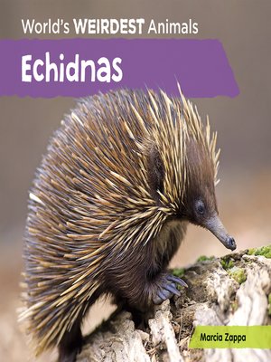 cover image of Echidnas